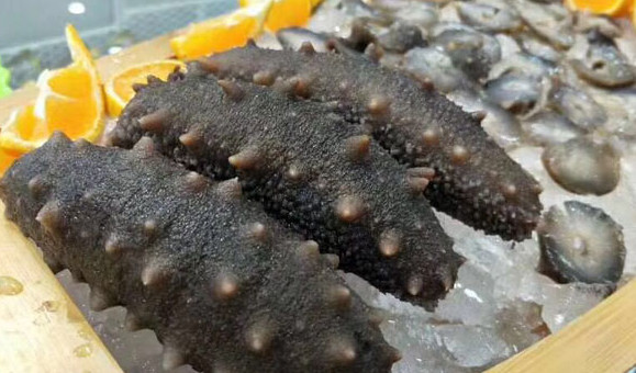 干海參禮盒多少錢？