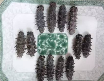 供應高檔干海參禮盒，傳統(tǒng)晾曬